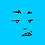 recent-blue-guanaco