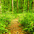 Creative_Earthian