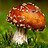 Pete_Pete_Bobly