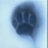 SnowPawPrint