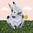 vinicius_felis