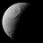 Dan_Kelley
