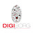 digiborg