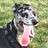 Robert_Neale