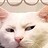 Sam123