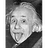 karlwilbur