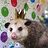PlayingPossum
