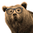 jammerinbc