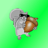 BlindSquirrel