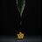 FallenLeaf