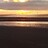 Susan_2102123 Susan_2102123