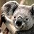 thara_1910