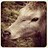 JonBuck