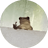 getter34_GF_FDG