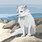 Hakim_Mokdad