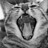 seacat