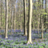 Eric_Van_der_Veken