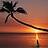 Fijian
