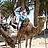 Marianna