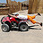 reizende_robin