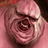 DaemonhostDaddy