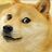 doge114514
