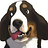 fatshark_mvp