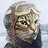 SirBattleCat