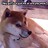 Doge