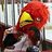harry_the_hawk