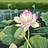 Alisha_Rawat