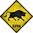 xing