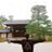 yudai007004