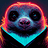 apkdev