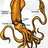 squidbot